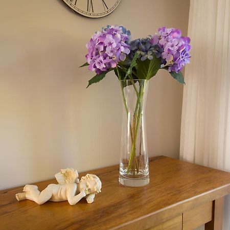 Rolling Hills Country Stay B&B Tauranga Esterno foto