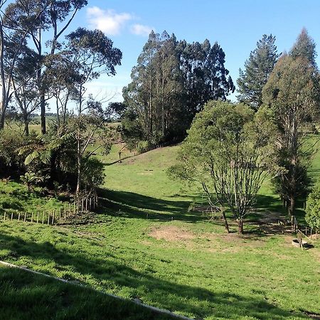 Rolling Hills Country Stay B&B Tauranga Esterno foto