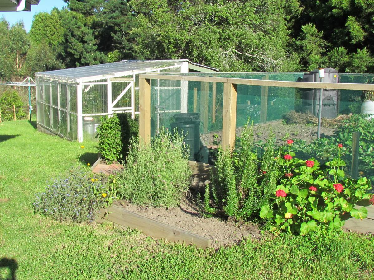 Rolling Hills Country Stay B&B Tauranga Esterno foto