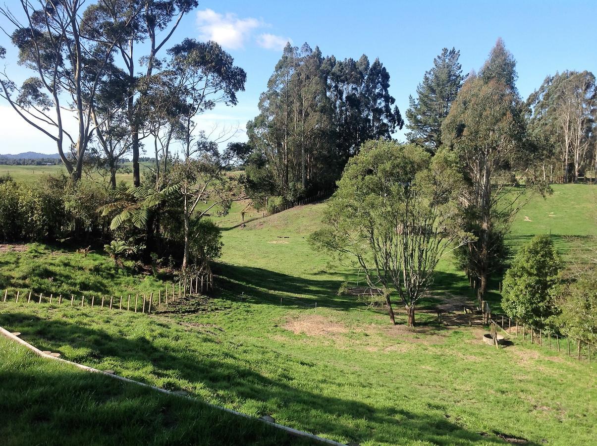 Rolling Hills Country Stay B&B Tauranga Esterno foto
