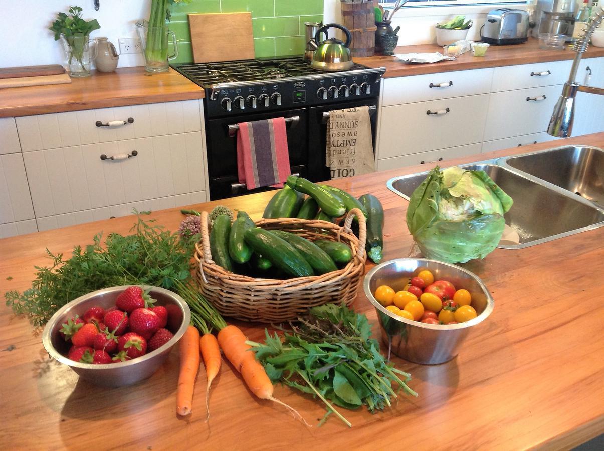 Rolling Hills Country Stay B&B Tauranga Esterno foto