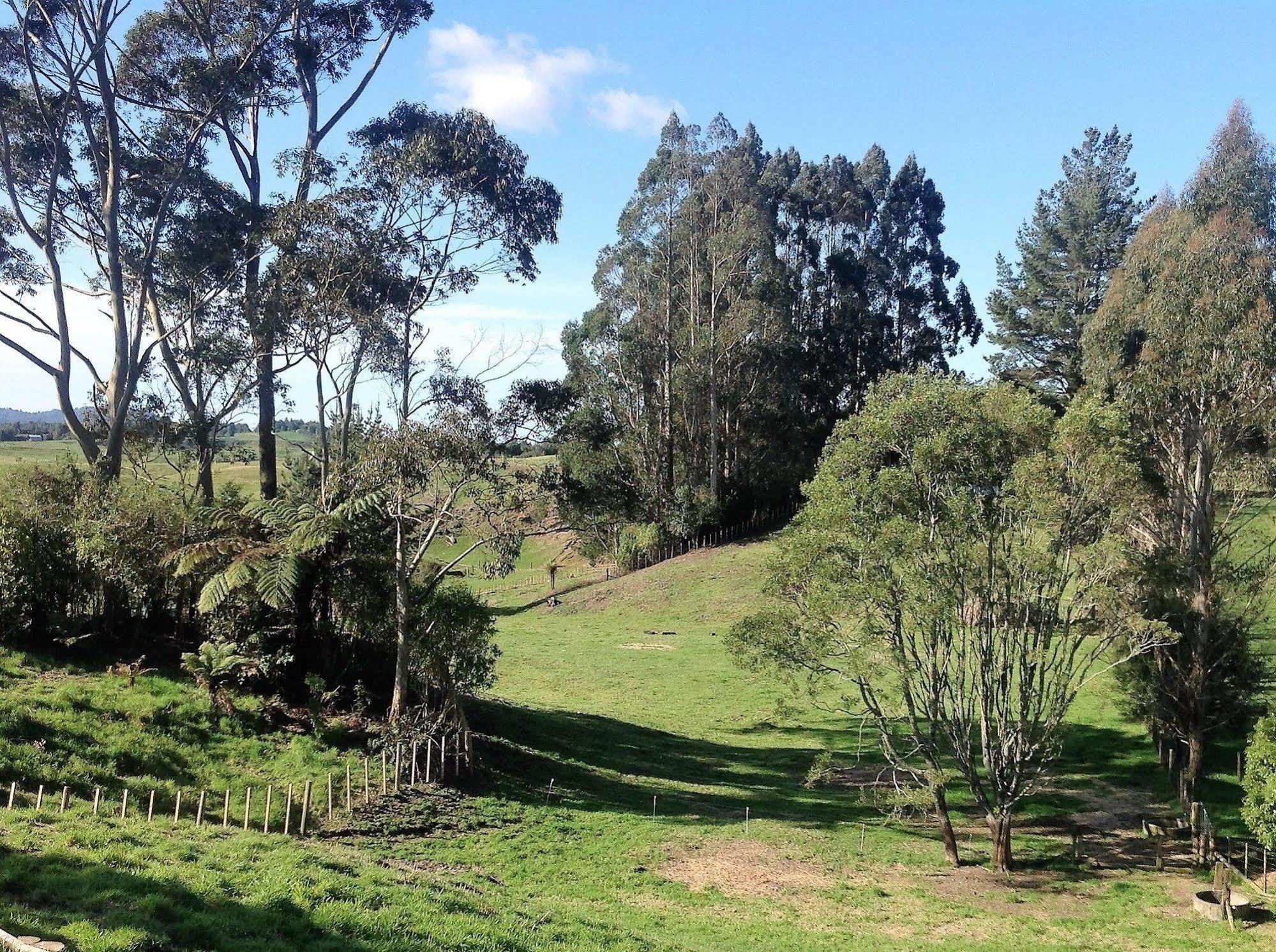 Rolling Hills Country Stay B&B Tauranga Esterno foto
