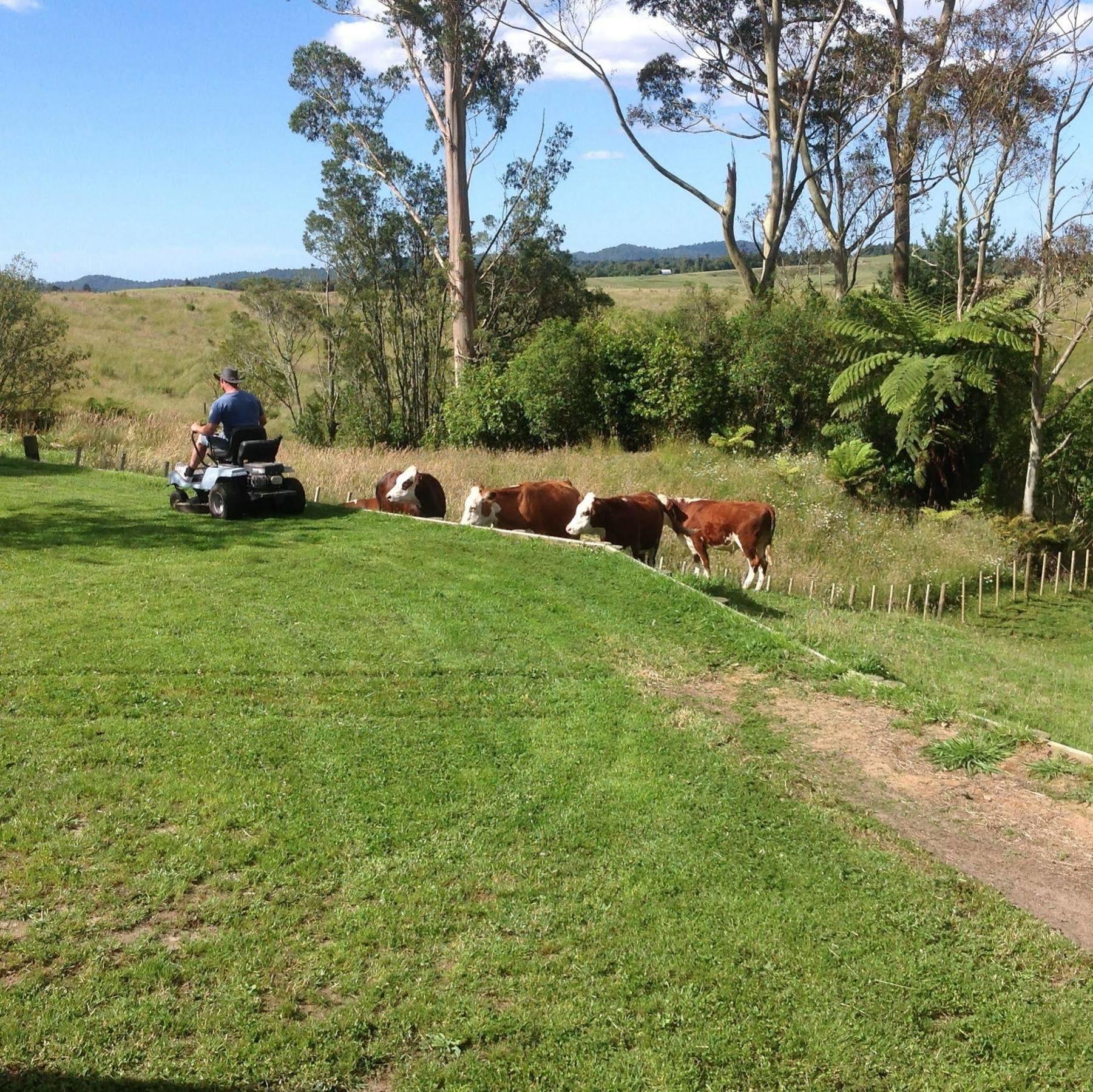 Rolling Hills Country Stay B&B Tauranga Esterno foto