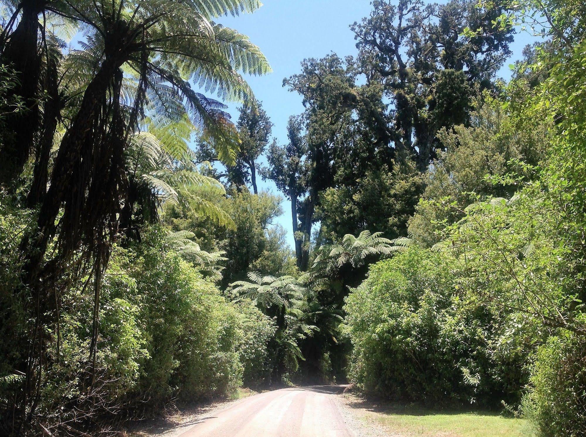 Rolling Hills Country Stay B&B Tauranga Esterno foto